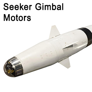 Seeker gimbal motors